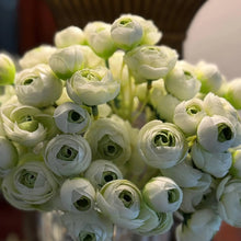 Load image into Gallery viewer, TXV Mart 10pcs Faux Silk Ranunculus | DIY Flower Arrangement-TXV Mart