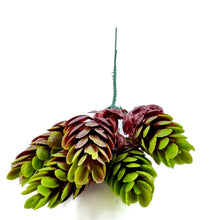 Load image into Gallery viewer, Succulent Bunch | Artificial Plant Bundle for Home Decor & DIY Arrangements-Craft Supplies-TXV Mart