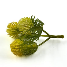 Load image into Gallery viewer, Thistle Bud Spray | Artificial Floral Stem for Home Decor & DIY Crafts-Craft Supplies-TXV Mart