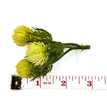 Load image into Gallery viewer, Thistle Bud Spray | Artificial Floral Stem for Home Decor & DIY Crafts-Craft Supplies-TXV Mart