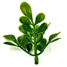 Load image into Gallery viewer, Round Leaf Pick | Versatile Greenery for Bouquets & Craft Projects-Craft Supplies-TXV Mart