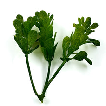 Load image into Gallery viewer, Myrtle Leaf Spray | Lush Artificial Filler for DIY Crafts & Floral Décor-Craft Supplies-TXV Mart