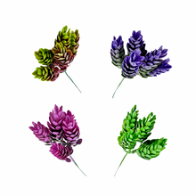 Load image into Gallery viewer, Succulent Bunch | Artificial Plant Bundle for Home Decor & DIY Arrangements-Craft Supplies-TXV Mart