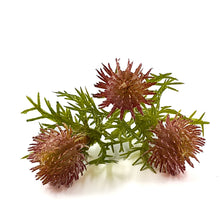 Load image into Gallery viewer, Thistle Bud Spray | Artificial Floral Stem for Home Decor & DIY Crafts-Craft Supplies-TXV Mart