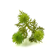 Load image into Gallery viewer, Thistle Bud Spray | Artificial Floral Stem for Home Decor & DIY Crafts-Craft Supplies-TXV Mart