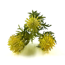 Load image into Gallery viewer, Thistle Bud Spray | Artificial Floral Stem for Home Decor & DIY Crafts-Craft Supplies-TXV Mart