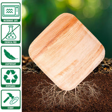 Load image into Gallery viewer, TXV Mart Disposable Palm Leaf Plates Square 10 Inch 25 Pack 100% Natural, Biodegradable and Compostable, Heavy Duty, Party, Weddings, Picnic, Holidays-disposal dinnerware-TXV Mart
