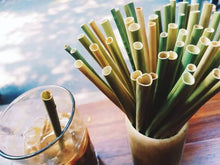 Load image into Gallery viewer, TXV Mart Eco-Friendly Disposable Party Grass Straws Drinking 100% Natural, Biodegradable, and Compostable (Pack of 100)-disposal dinnerware-TXV Mart