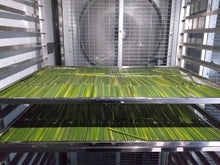 Load image into Gallery viewer, TXV Mart Eco-Friendly Disposable Party Grass Straws Drinking 100% Natural, Biodegradable, and Compostable (Pack of 100)-disposal dinnerware-TXV Mart