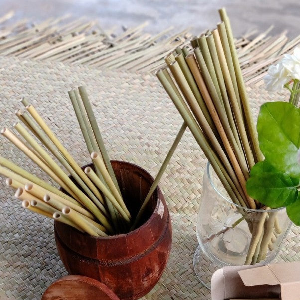 TXV Mart Disposable Reusable Bamboo Drinking Straws 100 Pcs, BPA Free, Eco-Friendly 100% Natural, Biodegradable, and Compostable, Heavy Duty, Party, W