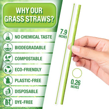 Load image into Gallery viewer, TXV Mart Eco-Friendly Disposable Party Grass Straws Drinking 100% Natural, Biodegradable, and Compostable (Pack of 100)-disposal dinnerware-TXV Mart