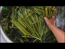 Load and play video in Gallery viewer, TXV Mart Eco-Friendly Disposable Party Grass Straws Drinking 100% Natural, Biodegradable, and Compostable (Pack of 100)