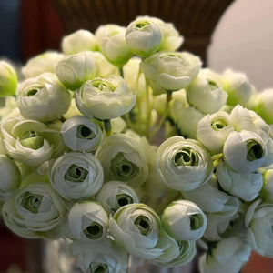 TXV Mart 10pcs Faux Silk Ranunculus | DIY Flower Arrangement-TXV Mart