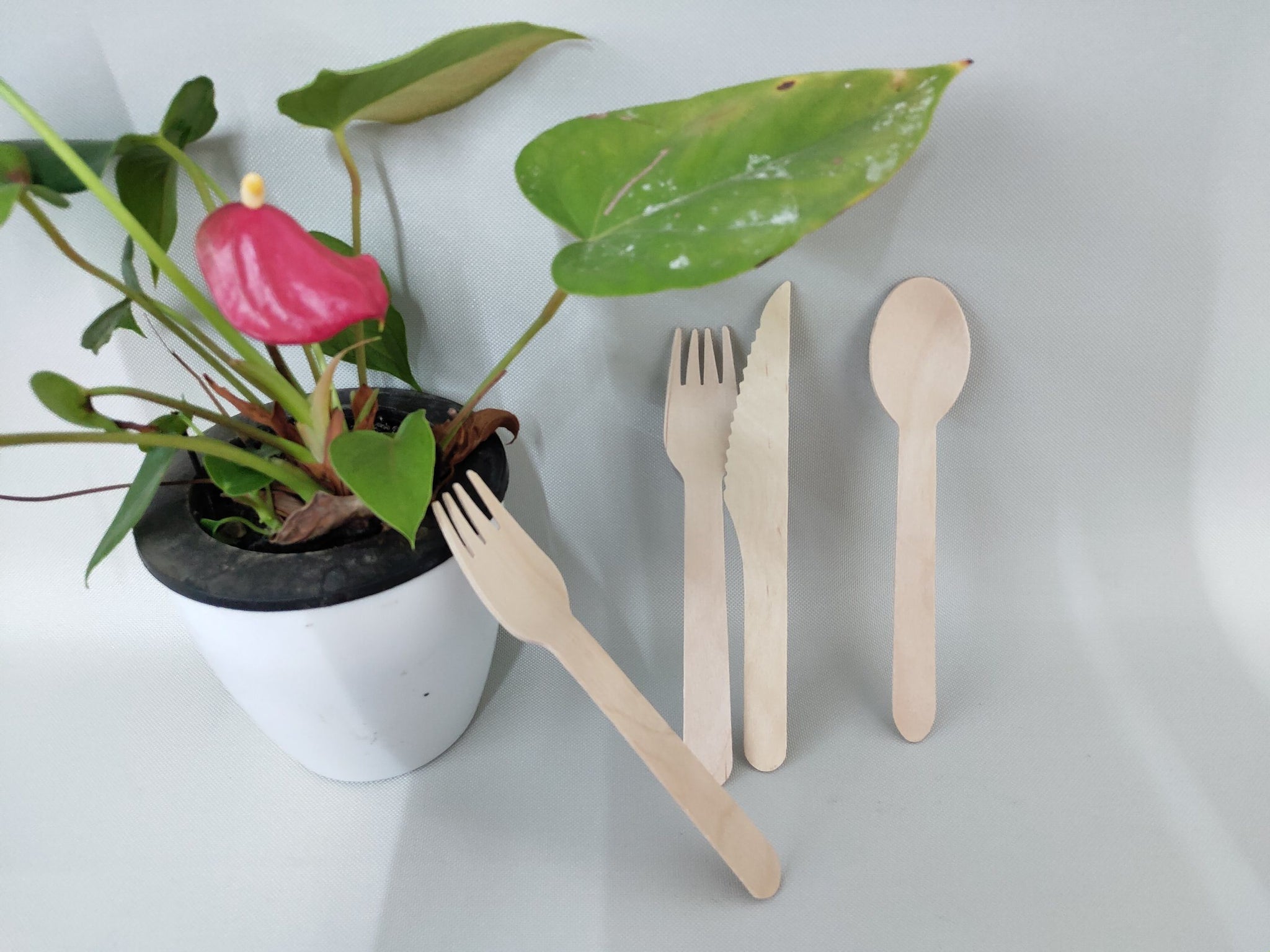 Wholesale Biodegradable & Disposable Cutlery Supplier & Factory - Lesui