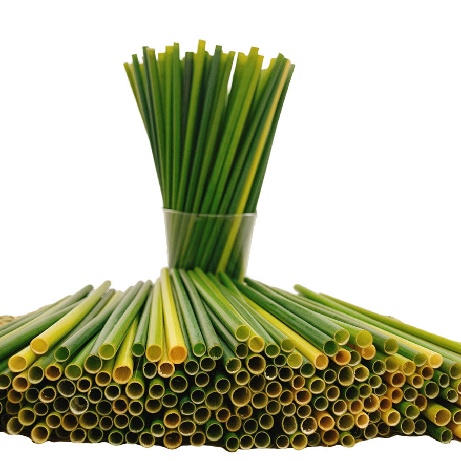  GMISUN straws : Health & Household